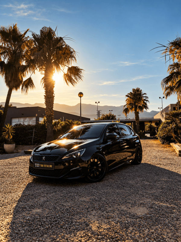 El coche de Andrade Borcean